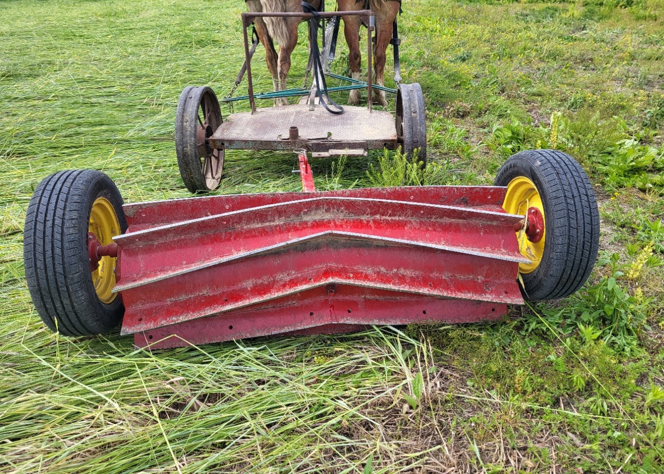 Roller-crimper for no-till pumpkins.jpg